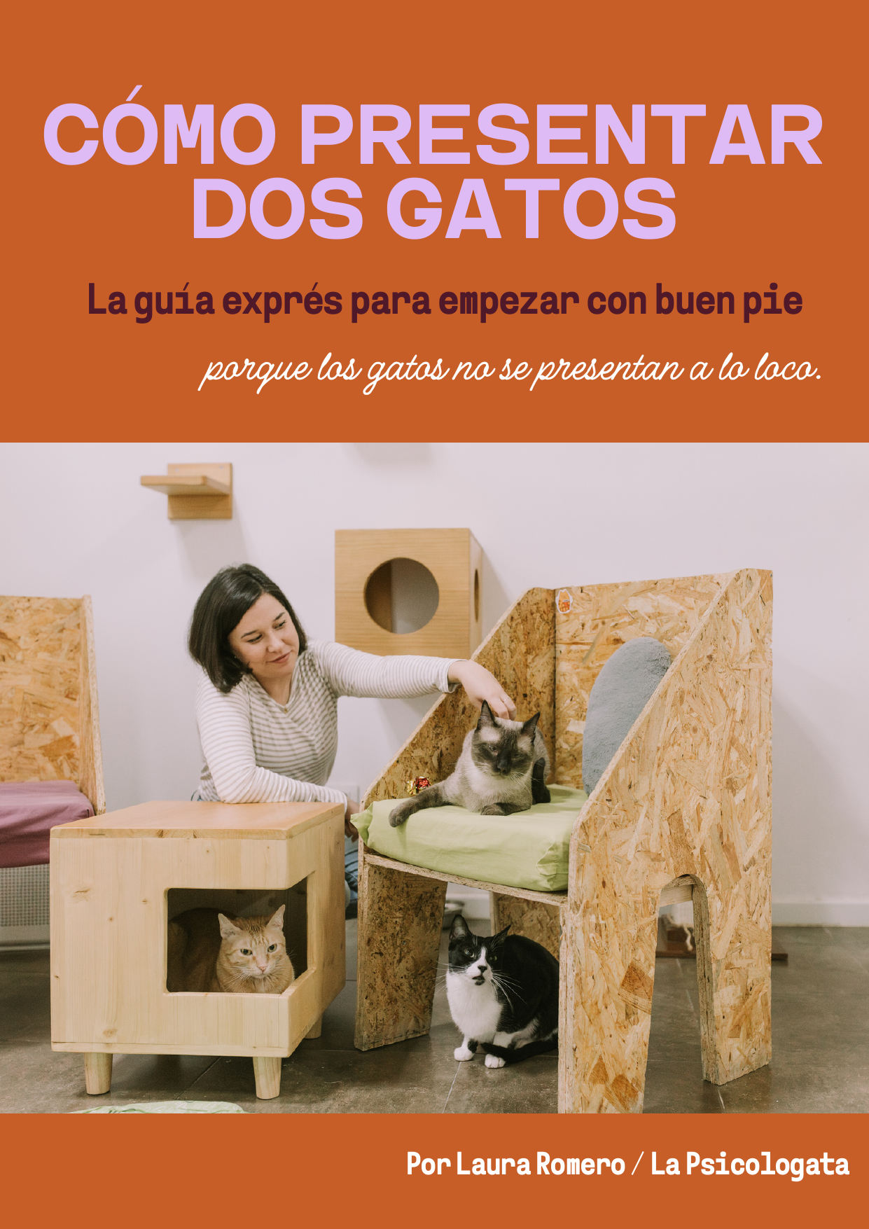 Portada: Cómo presentar dos gatos