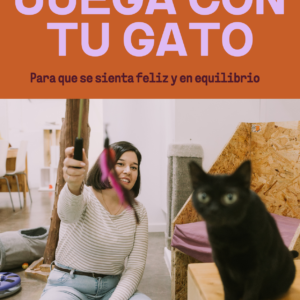 Juega con tus gatos