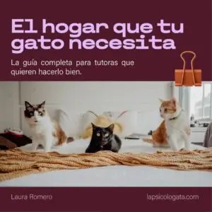 El hogar que tu gato necesita