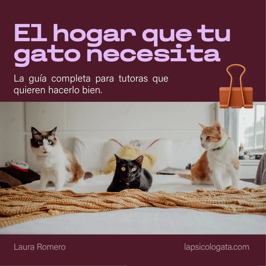 El hogar que tu gato necesita